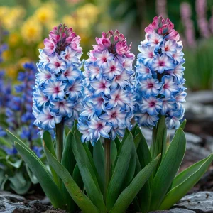 Гиацинт Пинк Мари купить по цене от 2099р. в интернет-магазине «Посадика» с доставкой почтой в в Иланскийе и по всей России – [изображение №1].